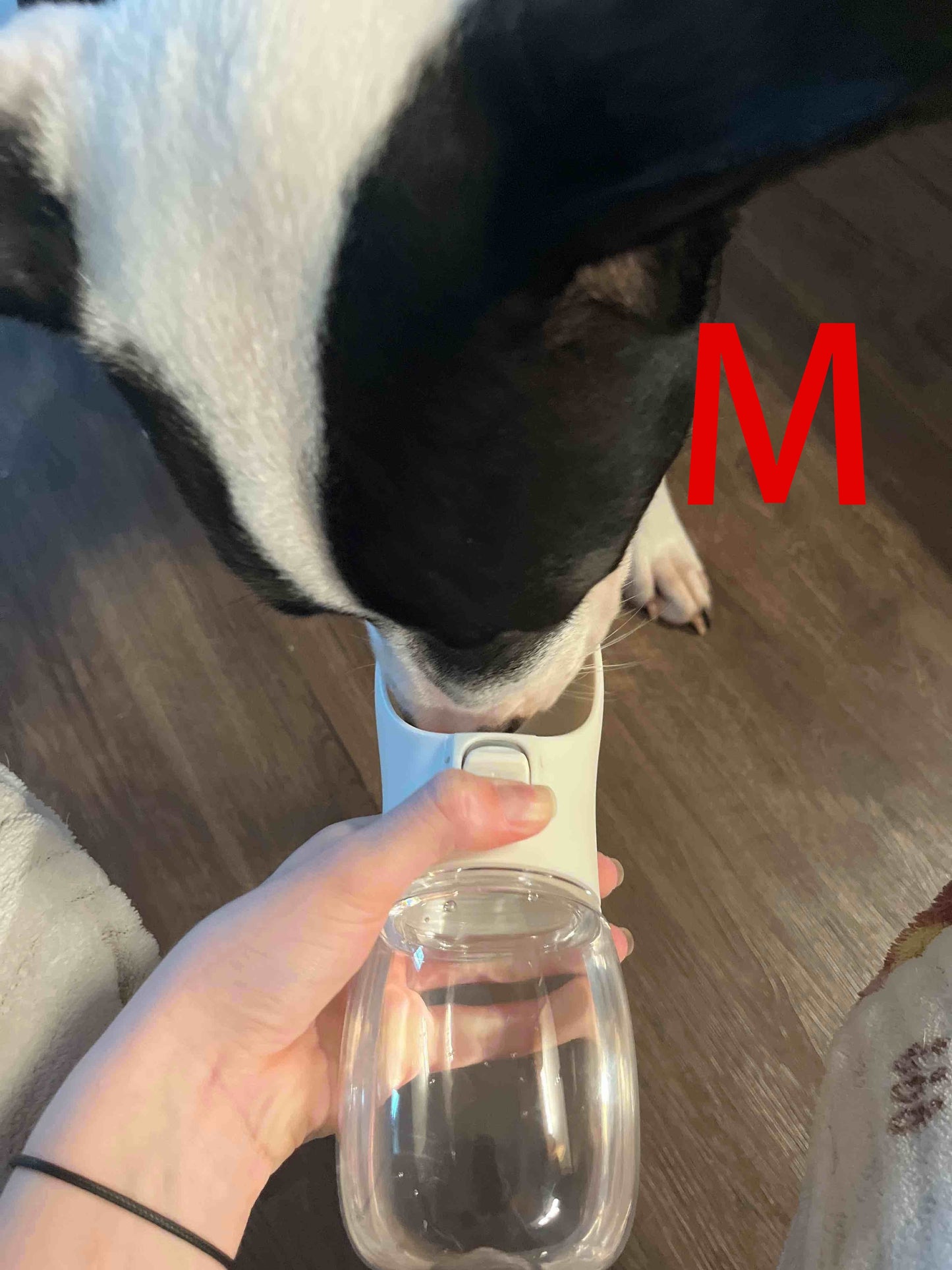 Leak-Proof Portable Dog Water Dispenser for Walking and Travel - Keep Your Pet Hydrated On-The-Go