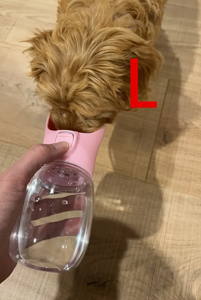 Leak-Proof Portable Dog Water Dispenser for Walking and Travel - Keep Your Pet Hydrated On-The-Go