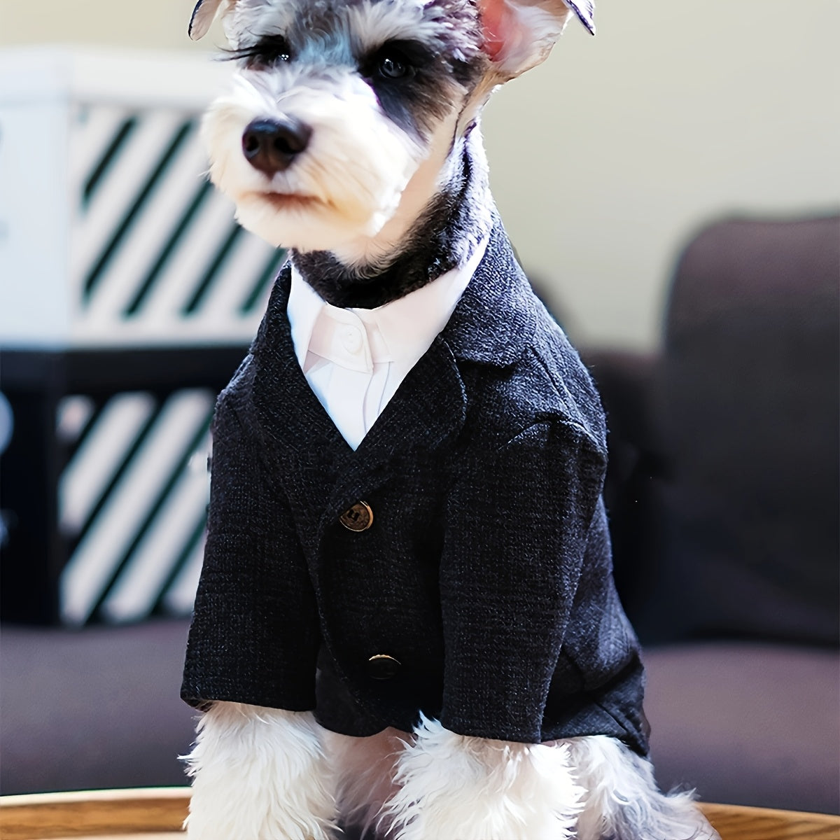 Plaid Print Pet Suit Jacket for Dog And for Wedding Formal Clothes Christmas Gift