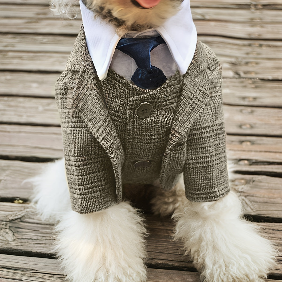 Plaid Print Pet Suit Jacket for Dog And for Wedding Formal Clothes Christmas Gift