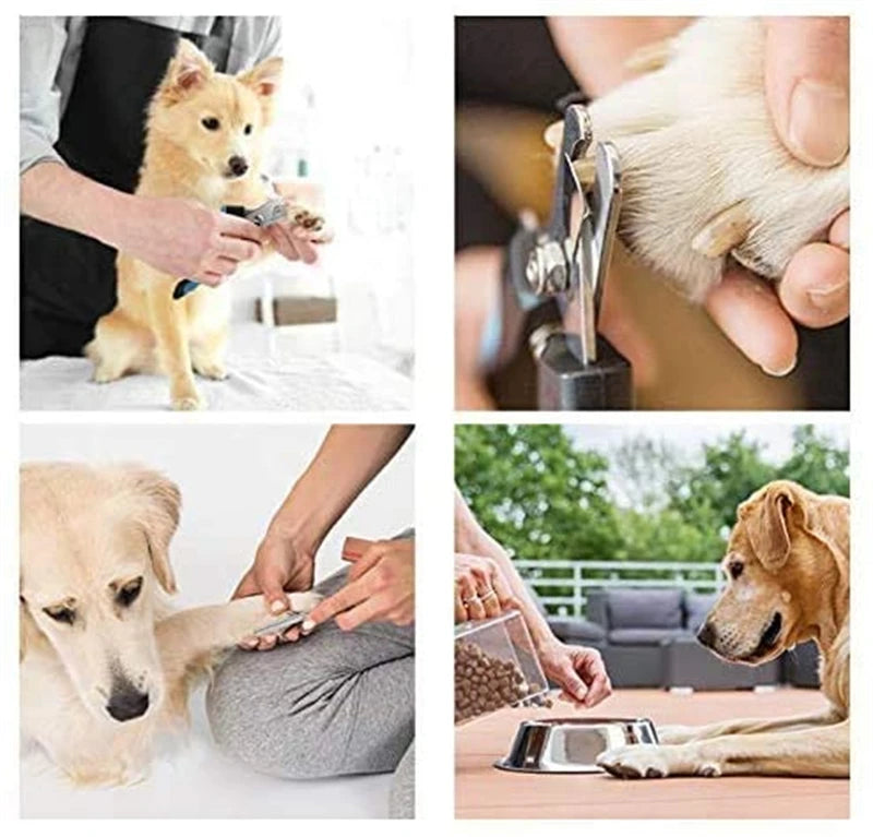 Cortador de unhas profissional para animais de estimação com guarda de segurança tesoura de aço inoxidável gato cão para cuidados com as garras suprimentos de preparação tamanho se encaixa