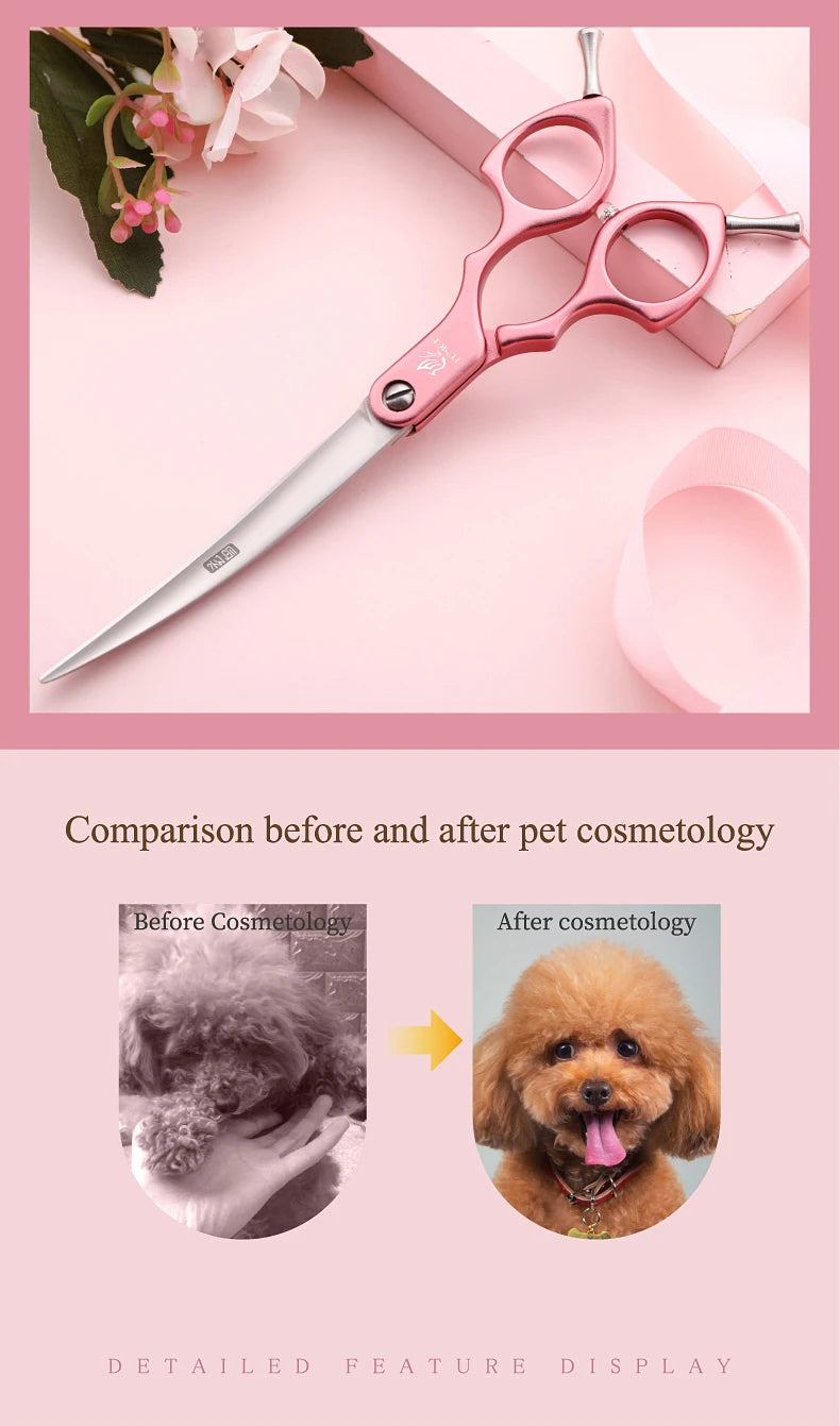 Fenice Professional JP440C&VG10 Colorful 6.0 6.5 Inch Curved Grooming Scissors Pet Scissor for Dogs Cats