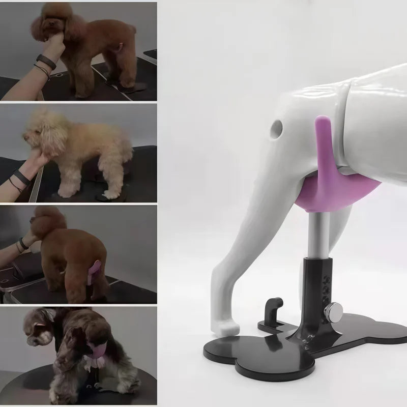 Mesa de aliciamento para cães pequenos e suporte para animais de estimação, 5-10kg, suporte fixo auxiliar, ferramentas profissionais para tosa de animais de estimação