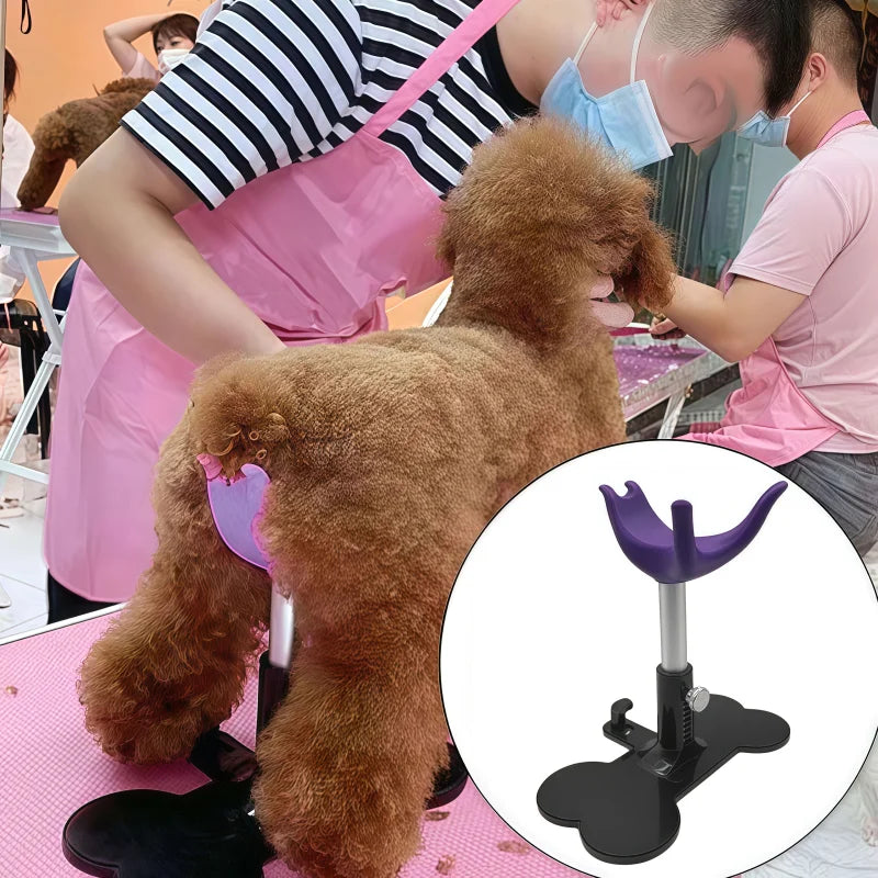 Mesa de aliciamento para cães pequenos e suporte para animais de estimação, 5-10kg, suporte fixo auxiliar, ferramentas profissionais para tosa de animais de estimação