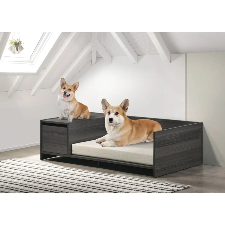 Esme Ash Gray 47 Wide Modern Comfy Pet Bed with Cushion and Side Storage Compartment