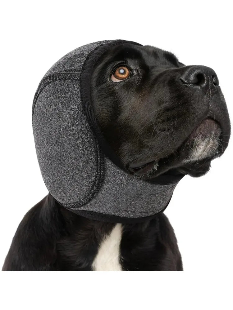 Protetores de ouvido para cães à prova d'água para natação e aliciamento - Capuz calmante com cancelamento de ruído para alívio de ansiedade de animais de estimação e prevenção de choque