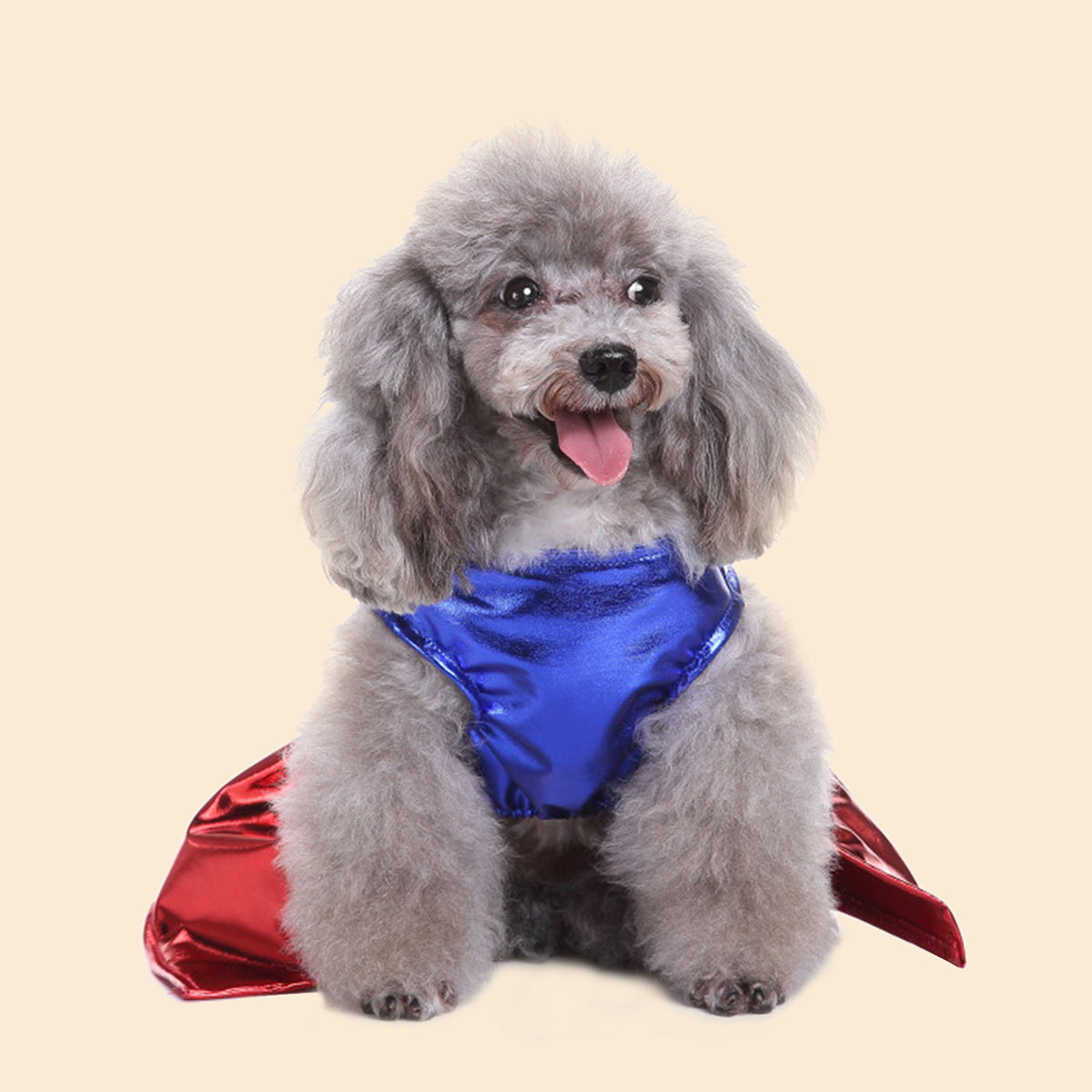 Pet Transformation Outfit/Super Paw Dress/Pet Dressup/Pet Costume/Geometric Pattern/Stylish Pet Fashion/Soft Pet Wear/Comfortable Fit/Small Pet Clothes/Animal Costume/Costume Collectors/Pet Owners