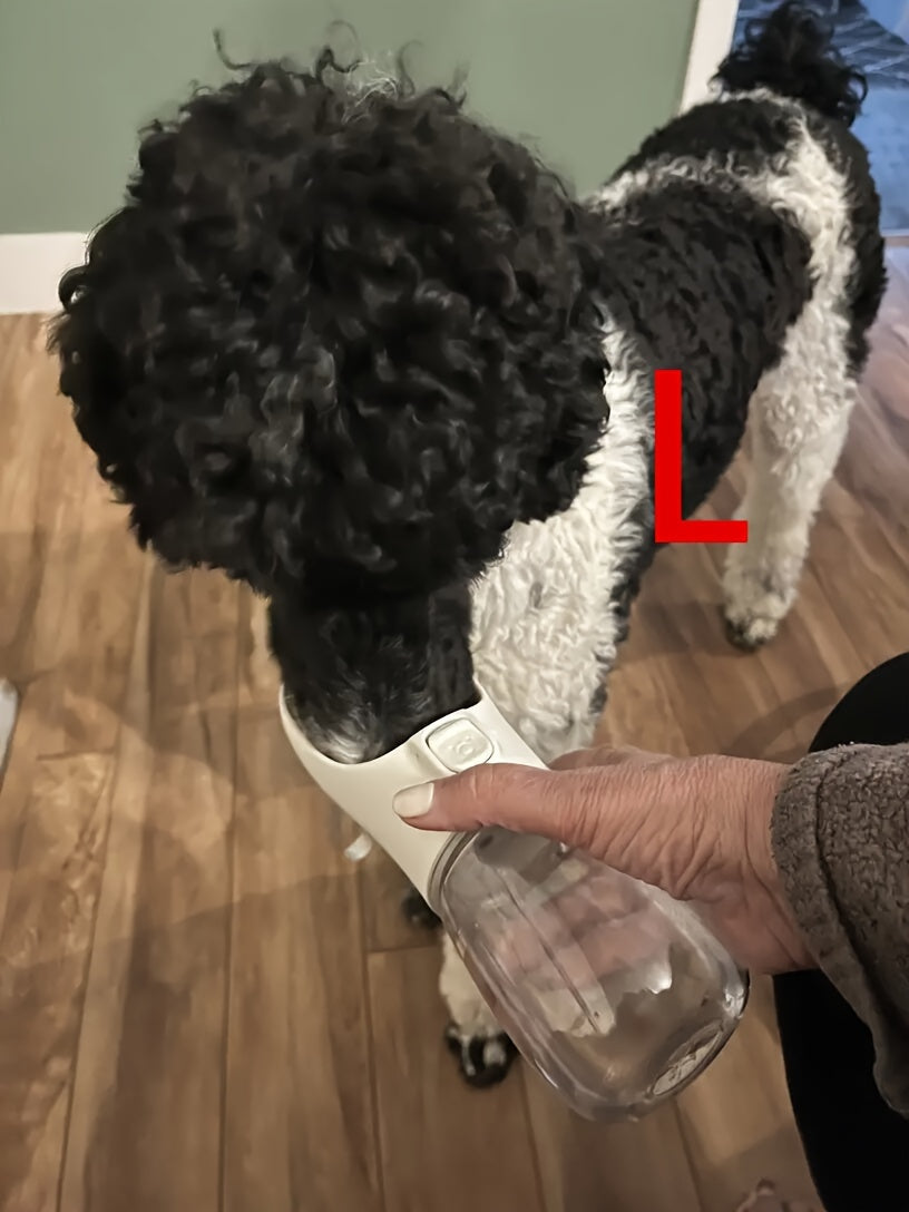 Leak-Proof Portable Dog Water Dispenser for Walking and Travel - Keep Your Pet Hydrated On-The-Go